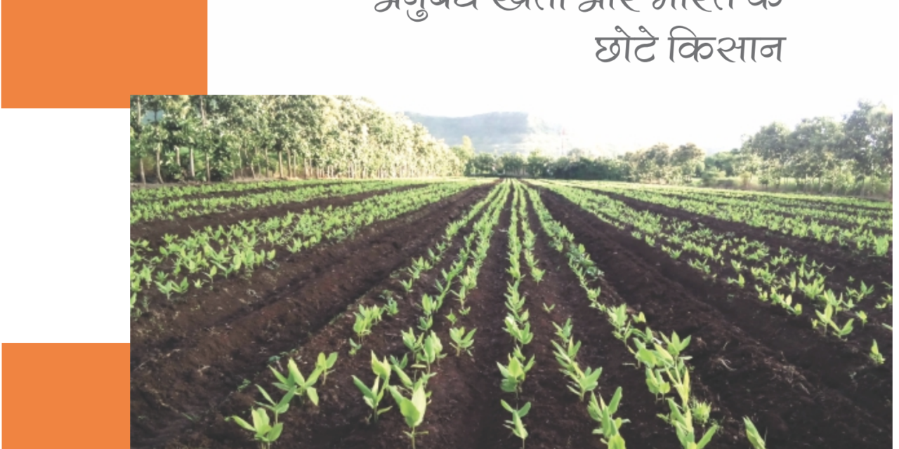 A Vexed Contract! Contract Farming and its Implications on Small Scale Farming in India (In Hindi)