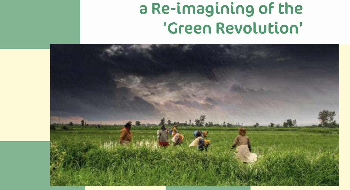 A Revolution Unwanted? Eastern India Demands a Re-imagining of the Green Revolution