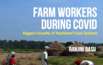 Farm Workers During COVID: Biggest Casualty of Neoliberal Food Systems